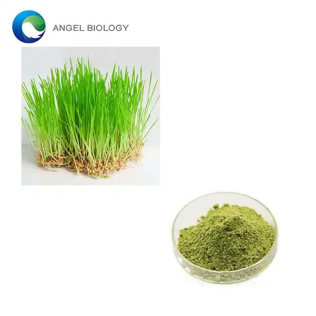 How Wheatgrass Extract Boosts Your Digestive Health Naturally
